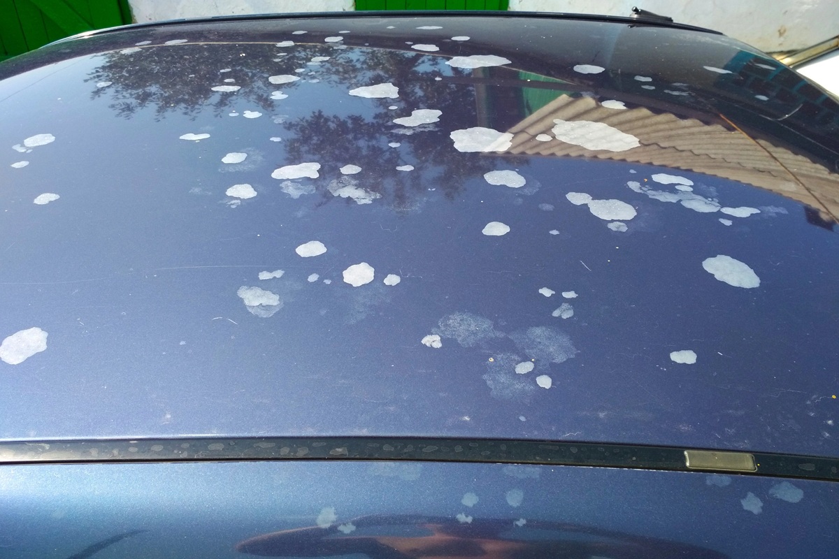 Bruciature sulla carrozzeria dell'auto causate dagli escrementi degli uccelli